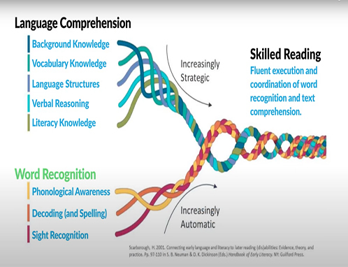 Read Alouds for Meaningful Vocabulary and Listening Comprehension image